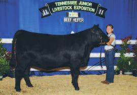 Overall, 2012 Pottawatomie County Fair; class winner, 2012 Houston Livestock Show; Reserve Champion Kansas Angus Heifer (Ring A) and Reserve