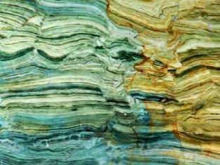 Another fossilized material related to bacteria is fossilized stromatolite.