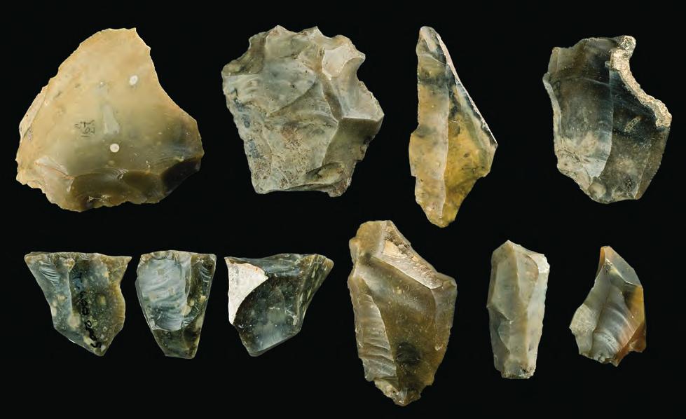 Landscape and Prehistory of the East London Wetlands Plate 27 Early Neolithic worked flint from the A13 sites Further much smaller scatters of material were identified in equivalent deposits in