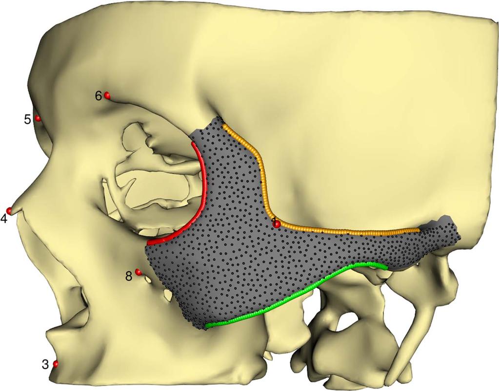 228 SCHLAGER AND R UDELL Fig. 1. Skull with landmarks (red, Nos. 2 and 7 not visible in this view); ROI (gray); curves C1 (red), C2 (yellow), C3 (green); and 1480 pseudo-landmarks (black).