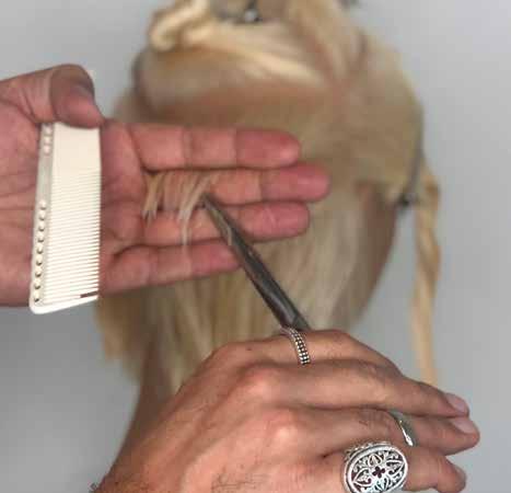 Take a ½-inch parallel section right below the triangle and pull hair straight out at 90