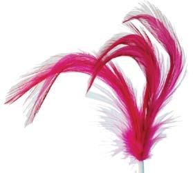 Feather $10.