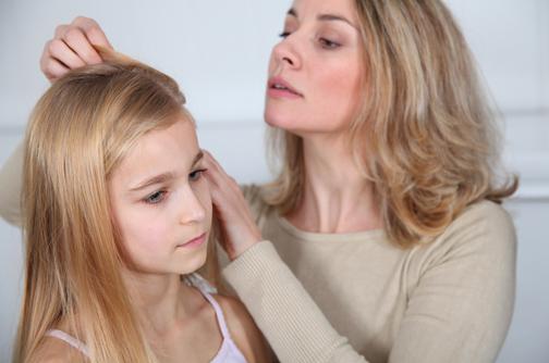 lice each year. In other words, an estimated 1 in 20 children have lice at any given time.
