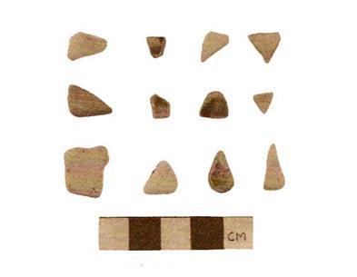 were present in the Delphine and Eliza Freeman assemblage dating from 1910 to 1930, and 1 sherd was present in the Scott assemblage dating from 1920 to 1940 (Wilkie 1995:140).