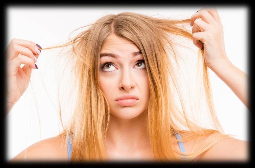 Phases of Hair Growth The average amount of hair follicles on the scalp is about 100,000 to 150,000. In comparison, the human body contains over 5 million follicles.