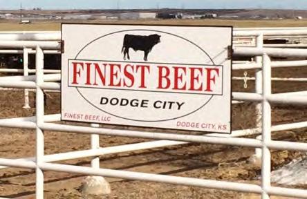 Dennis, Russ, Bernie, and Darin Bull Development All of our bulls have been developed at Finest Beef Grow Yard, Dodge City, Kansas.