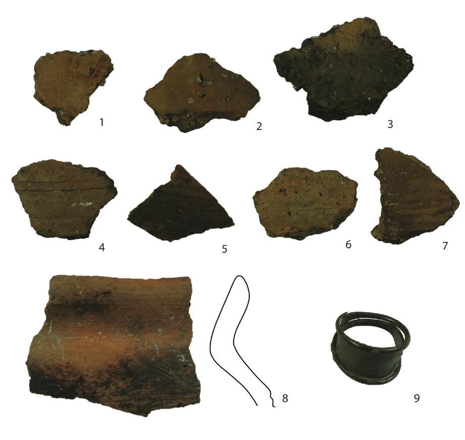 Investigation of Late Iron Age occupation layers in Viljandi Castle park 125 FINDS, THEIR CONTEXTS AND DATES During the excavations² two major chronologically different stratigraphic units could be