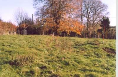 Earthworks at Glebe Farm, Tilshead Site Code TL004 Archaeological Field Evaluation And