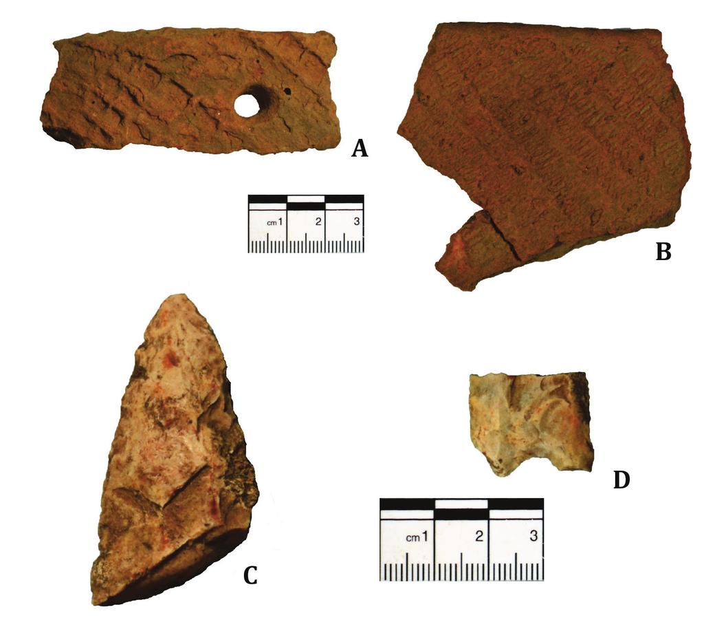 ASSESSMENT OF ARCHAEOLOGICAL SITE 38CH2244 Figure 11. Prehistoric remains from 38CH2244.