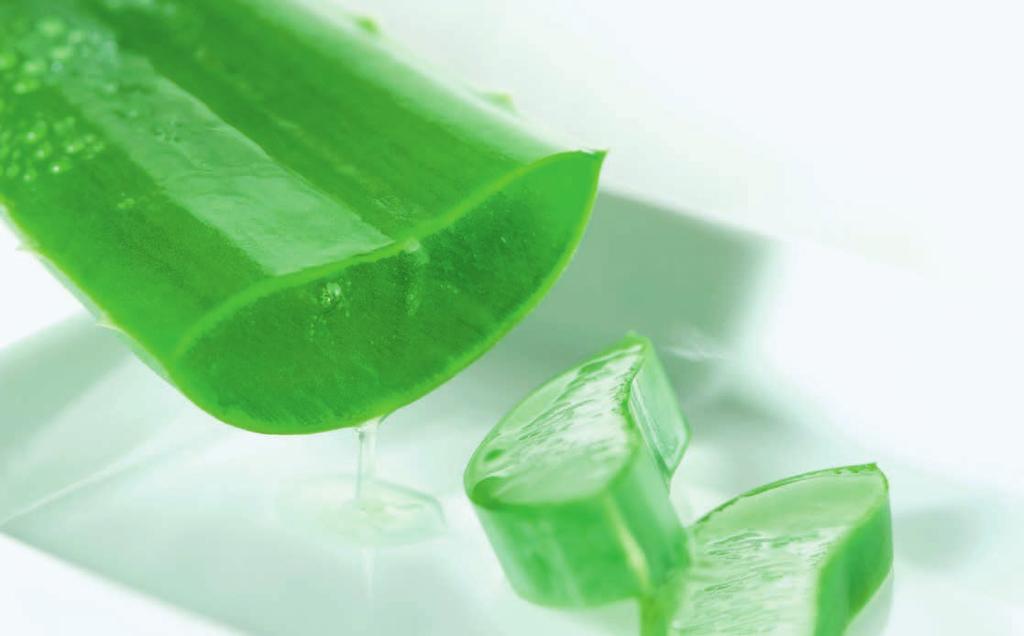 Raw Materials for Personal Care Aloe Vera Our WorléeAloe brand eliminates guesswork and uncertainty about product purity and quality while providing supply chain reliability and continuity for modern