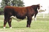 Reference Sires RS REMITALL PATRIOT ET 13P P42597023 Calved: Jan.