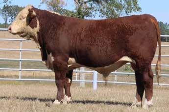 22/94 LE % 50 RE % 100 RMB 225Y WHITLOCK 732C Lot 48 49 RMB 225Y WHITLOCK 741C Calved: 09/26/2015 Bull P43627358 Tattoo: 741C Scurred +$ 24 +$ 14 PW VICTOR BOOMER P606 REMITALL BOOMER 46B TPH