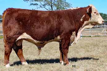 CMR GRANDVIEW P606 MAID S274 DOD PW VICTORIA 964 8114 TF COW MADE 920 226 BOYD COW MAKER 0101 TF LADY P606 920 +$ 27 NA 634/ET 1019/ET 11.46/106 1.12 2.