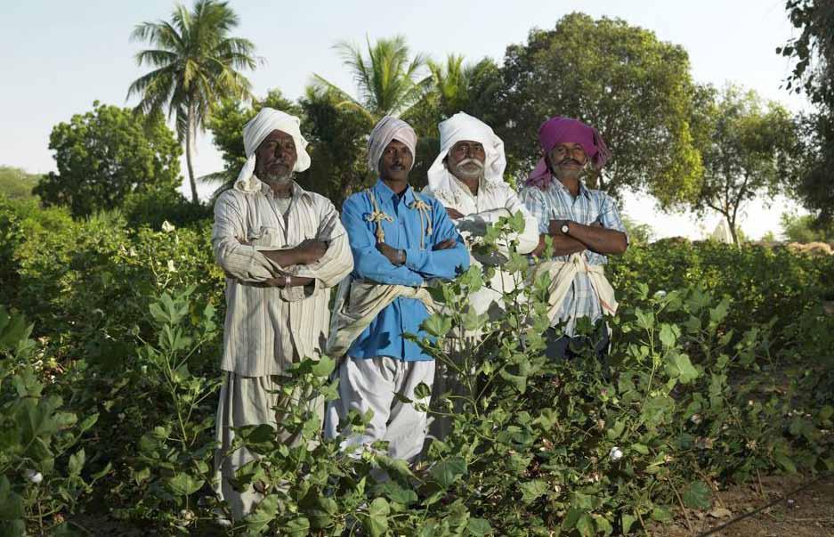 PHOTO: Brothers Lavjibhai, Pragjibhai, Muljibhai and Prem Ji, Agro (by Gossypium) Abi and Thomas together with Agrocel were pioneers in introducing Fairtrade organic to cotton farmers in India, and