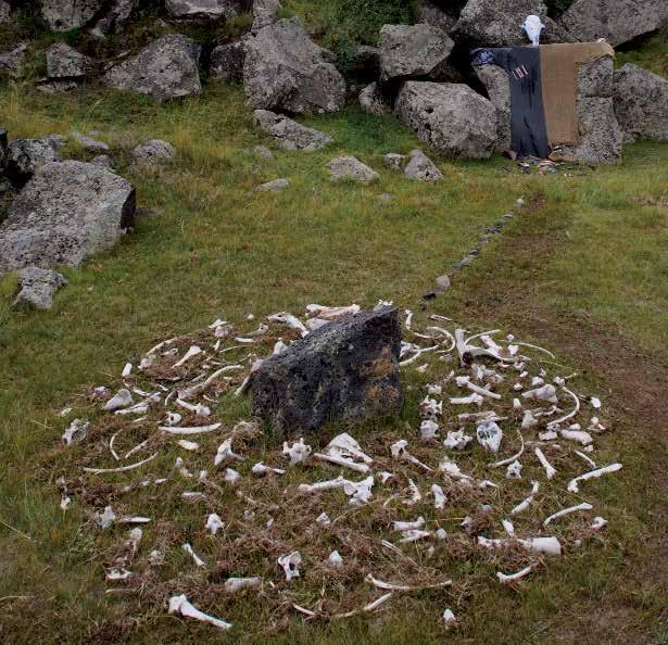 DULGUUN BAATARSUKH INFINITY on-site installation (animal skull and bones, textiles, stones, grass) Even though mankind through knowledge and soul is different from animals, both belong to nature.