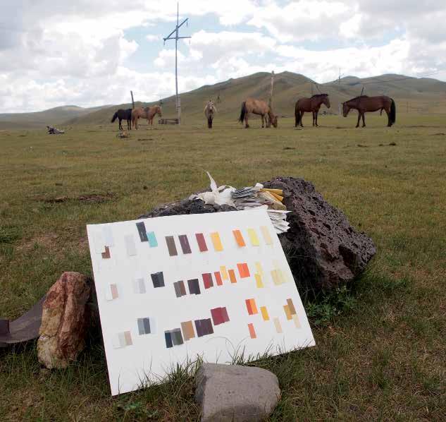 LAURA COOPER ADUUNUUDIIN ZUS (MANY HORSE COLORS) color chart, collages, video, approx.