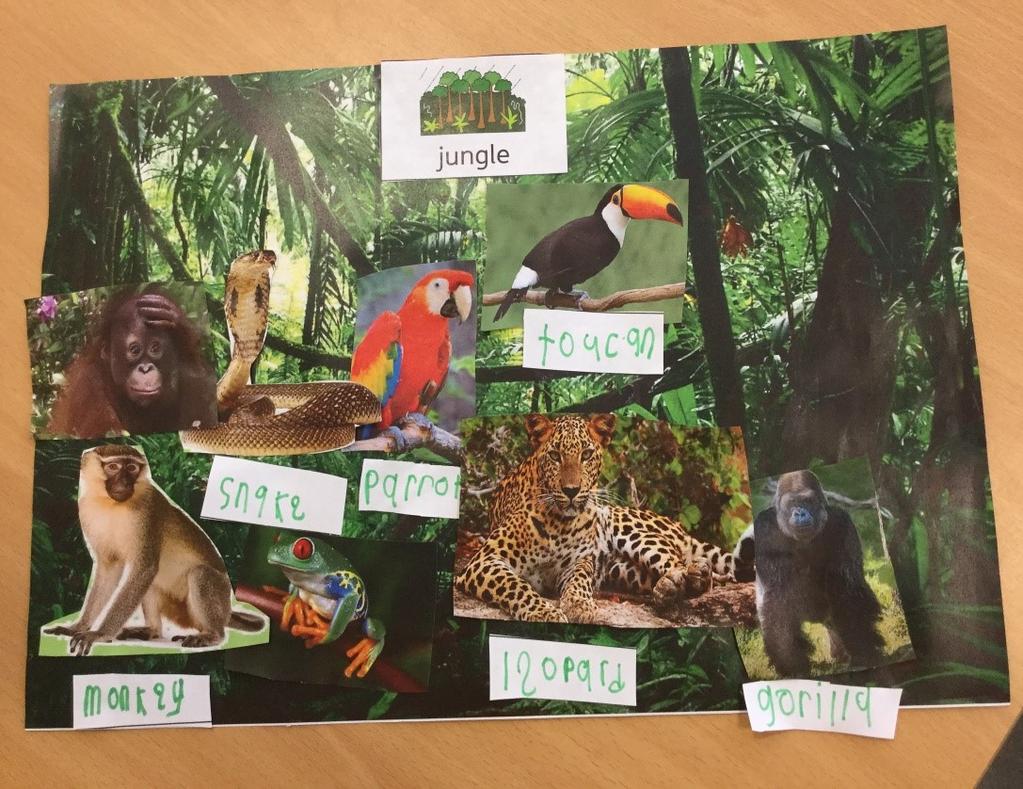 Issue 58 October 2018 Lions Class This term the Lions have been learning about different habitats.