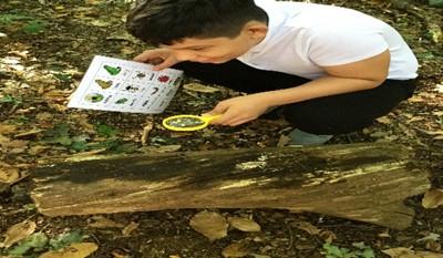 During their sessions the students explored the park, wildlife and nature and they also built a