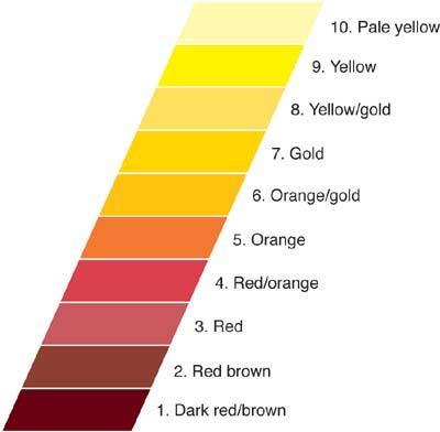 TEN DEGREES OF DECOLORIZATION Dark red/brown Red/brown Red