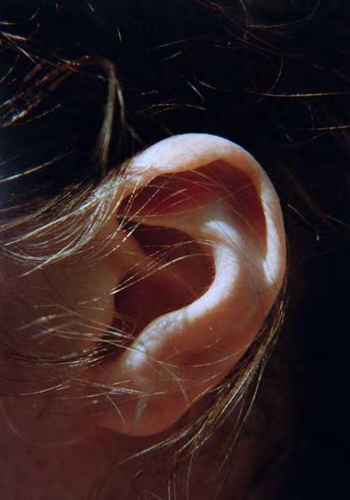 Ohr (Ear), 1980,