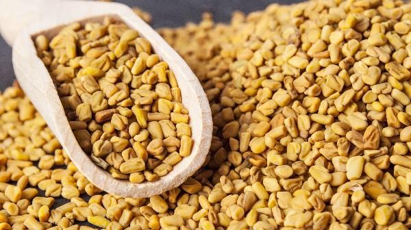 These seeds are rich in nicotinic acid and lecithin, both substances very useful in speeding up hair growth.