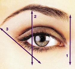 Eyebrows Master Eyebrow Design *Master Brow Class. Training utilizing classic art skills, facial structure and symmetry, corrective imbalance and design. No stencils are used.