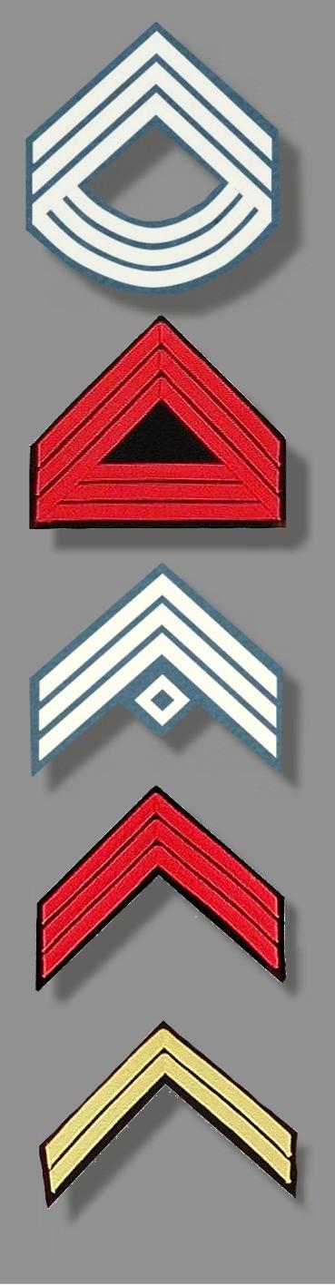 Regulations called for all sergeants to wear three stripes and corporals to wear two on their fatigue uniforms, except for Dragoons who were authorized to wear the chevrons on their Dress coats.