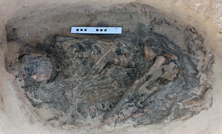 Figure 6: An adult female buried in a flexed position.