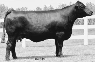 2. -.2. -.2 2 MISS CCF X21 FROZEN EMBRYOS LOTS 2- PROJECTED 2A FROZEN EMBRYOS M M.1 2 -.21.2 -.. 1 LMC RHINO W/ LMC GOLD MEDAL Z/ LMC WFC MS. DM GIRL OWNER: Anderson Simmental, St.