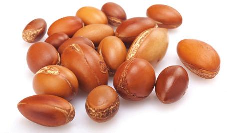 Argan Oil A precious, rare and primary essential oil that provides radiance and nourishment to hair