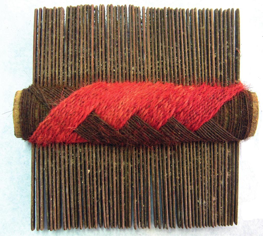 698 Bernardo Arriaza, Vivien G. Standen, Jorg Heukelbach, Vicki Cassman and Felix Olivares Figure 2. Decorated comb PLM4T171, Nº 10356 lashed together with bichrome threads (red and brown).