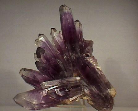 PAGE 7 February Birthstone: Amethyst/Onyx-Aquarius (January 21 - February 19) Aquarians are nearly always intelligent, concise, clear and logical.