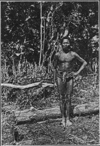 BUN] TYPES OF NE Gh ltos 23 I photographs of Negritos from many parts of the islands could be obtained. The photographs have been derived from several sources, taken at various times by different men.