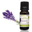 lavender provence Lavandula angustifolia sb linalool, acétate de linalyle soothing and relaxing 00208 10 ml 5.90 00209 30 ml 14.