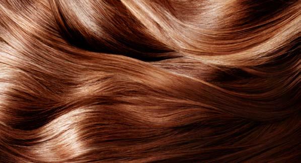 1. THE HAIR. PRE-COLORING. /MORPHOLOGY. PARTS OF THE HAIR, TONE AND HIGHLIGHT. Cuticle. The outer part of the hair. It consists of 5-7 layers of transparent cells, one on top of the other.