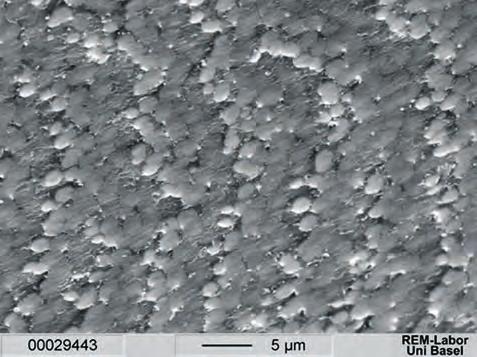 Figure 13. The aragonite tiles shown in this SEM image of the surface of a cultured pearl are responsible for the gritty sensation when it is rubbed against a tooth. 1983).