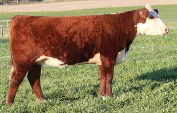 Bred s Bred s Bred s Bred s Bred s Bred s 29 Anna 513 P43559771 CALVED: JAN 15, 2015 TATTOO: RE-513 H KH DD EXCEL 0091 ET HRD THE ANSWER 2126 P43320502 HRD MS AIRWAVE 7138 GO EXCEL L18 AKNONY MAID OF