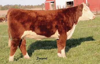 30 PRF Anastasia 552 P43561064 CALVED: FEB 15, 2015 TATTOO: RE-552 H KH DD EXCEL 0091 ET HRD THE ANSWER 2126 P43320502 HRD MS AIRWAVE 7138 GO EXCEL L18 AKNONY MAID OF GOLD 2R PRF WIDELOAD MISS