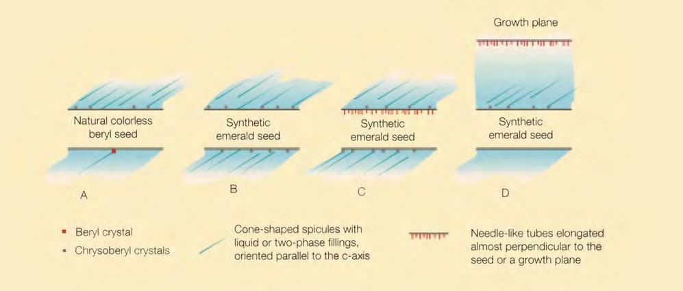 contact with the seed are numerous small crystals (figure 13) that are also birefringent but have a refractive index that is distinctly higher than that of the host beryl.