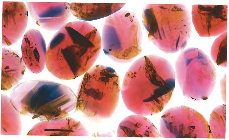 Figure 15. With immersion in methylene iodide, the numerous color zones found in these stones are 1 easily seen. Transmitted light; photo by Shane McClure. - tures (figure 16).