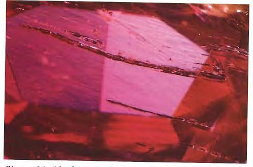 Figure 26. Black-appearing rod-like inclusions were also noted in some stones. These unusual inclusions are pyrrhotite, an iron salfide.