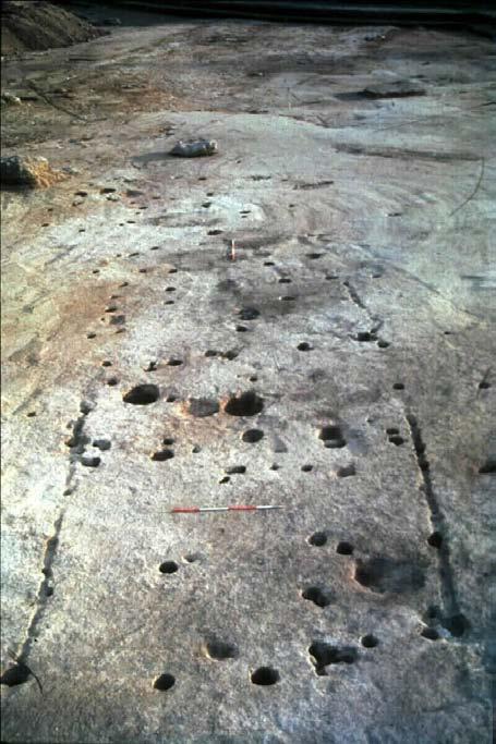 At the northern end the postholes along the wall lie within the bedding trench, whilst to the south the larger postholes lie just beside the bedding trench, and rows of much smaller postholes were