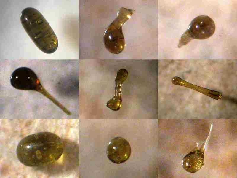 Possible micro-tektites. Size 0,5 3 mm.