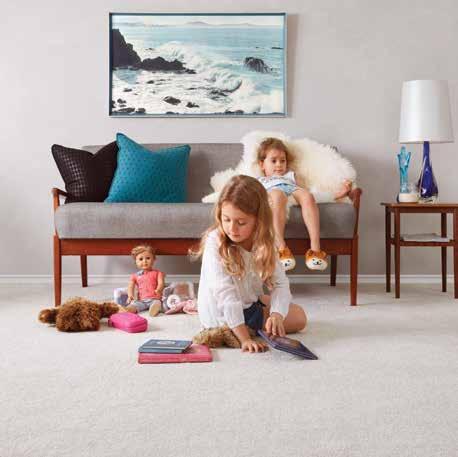 GENERAL TERMS AND CONDITIONS GENERAL TERMS AND CONDITIONS ROUTINE MAINTENANCE WILL INCREASE THE LIFESPAN OF YOUR CARPET A regular maintenance programme helps to remove soil before it can build up and