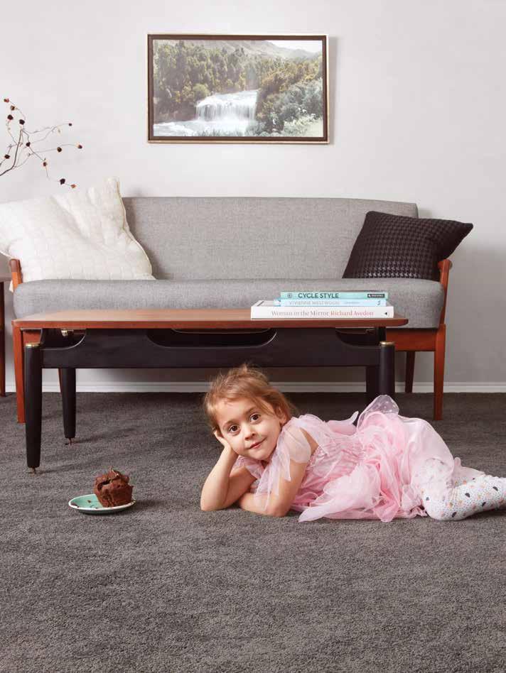 SPILLS AND STAINS Stain guide for solution-dyed nylon carpets Here s our easy reference guide about what to use for specific spills and stains on solution-dyed nylon carpets.