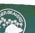 a. Regulation: The Florida Eager Beaver Pin is not a required insignia of the basic Eager Beaver Uniform.