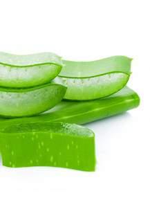 FEDERICO MAHORA / ALOE VERA 69 Aloe vera contains a large quantities of vitamins A, B, C and E, as well as minerals such as zinc, selenium