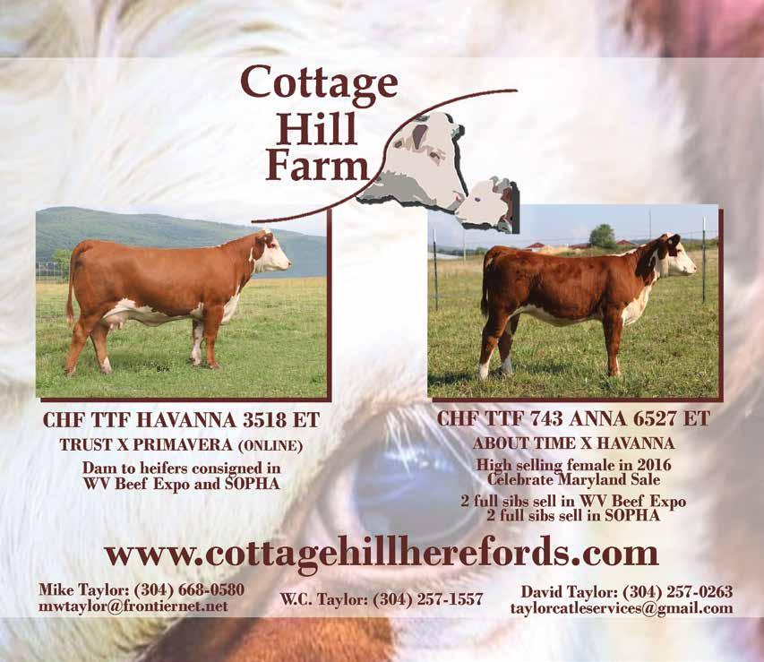 WEST VIRGINIA POLLED HEREFORD ASSN.