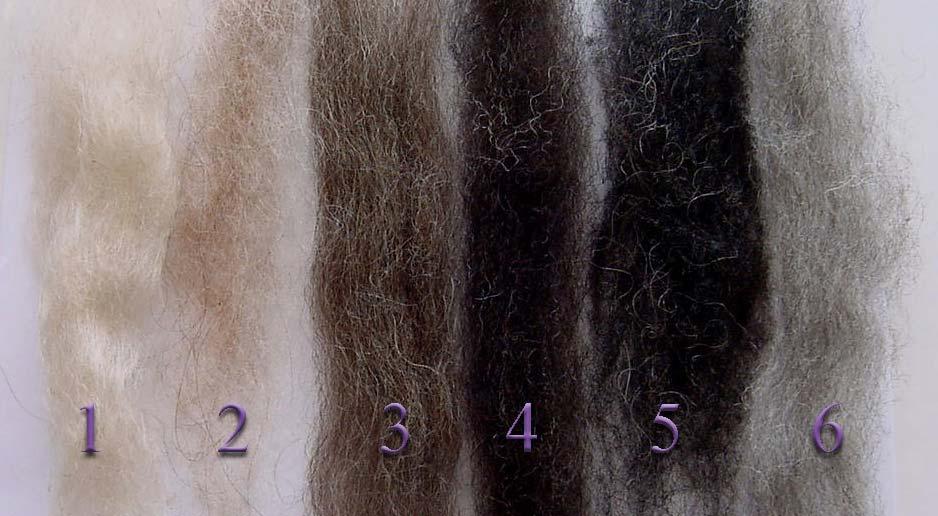Chapter 7: How do henna and indigo dye gray and other hair colors? Everybody has a different color of hair, different diet, and different environmental circumstances.