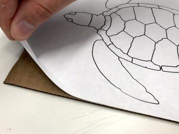 Create Turtle To make your turtle, start by printing out a copy of the sea turtle PDF below (it's a pdf version of this public domain sea turtle drawing (https://adafru.